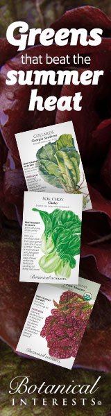 Newspaper WordPress Theme